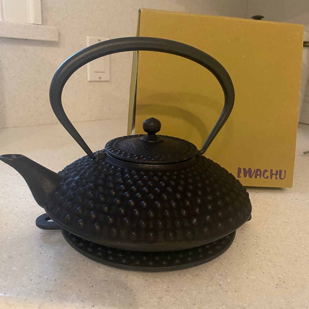 Cast Iron Teapot